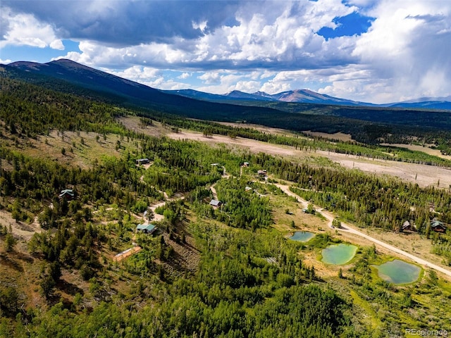 751 Lamb Mountain Rd, Fairplay, CO 80440 - photo 2