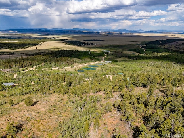 751 Lamb Mountain Rd, Fairplay, CO 80440 - photo 3