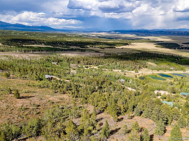 751 Lamb Mountain Rd, Fairplay, CO 80440 - photo 4