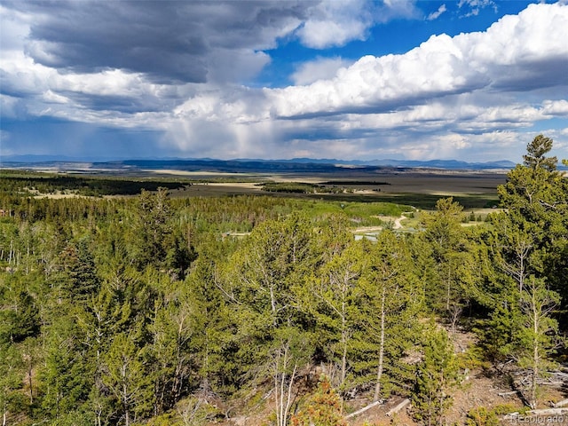 751 Lamb Mountain Rd, Fairplay, CO 80440 - photo 5