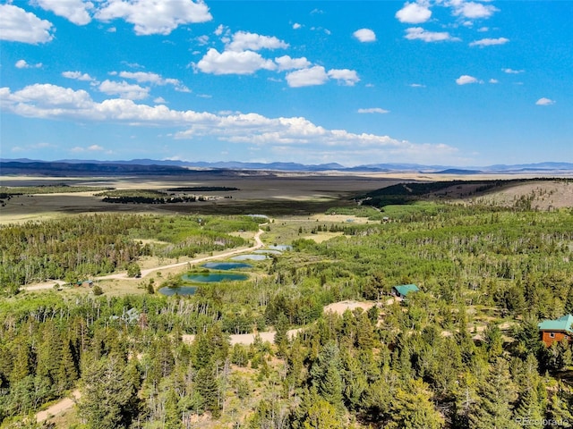 751 Lamb Mountain Rd, Fairplay, CO 80440 - photo 6