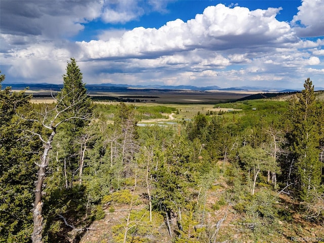 751 Lamb Mountain Rd, Fairplay, CO 80440 - photo 7