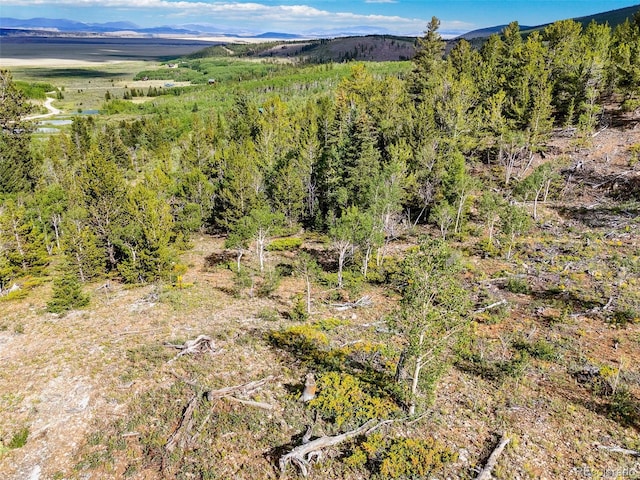 751 Lamb Mountain Rd, Fairplay, CO 80440 - photo 8