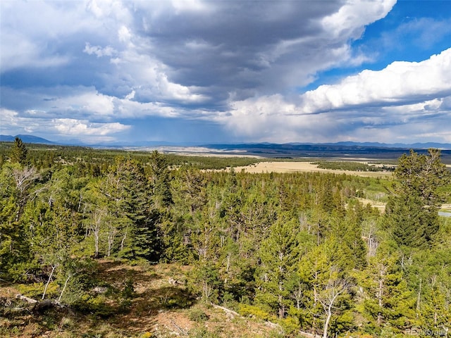 751 Lamb Mountain Rd, Fairplay, CO 80440 - photo 9