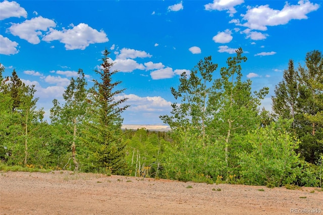 751 Lamb Mountain Rd, Fairplay, CO 80440 - photo 12