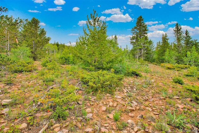 751 Lamb Mountain Rd, Fairplay, CO 80440 - photo 13