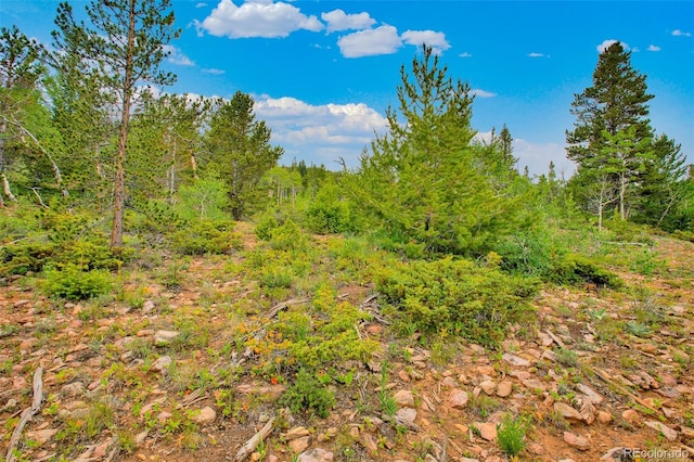 751 Lamb Mountain Rd, Fairplay, CO 80440 - photo 14