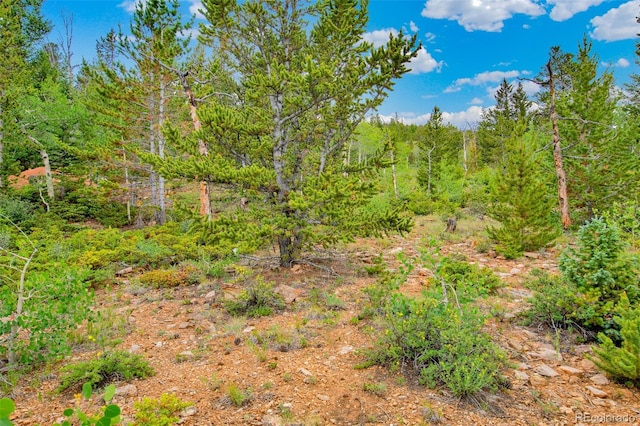 751 Lamb Mountain Rd, Fairplay, CO 80440 - photo 16