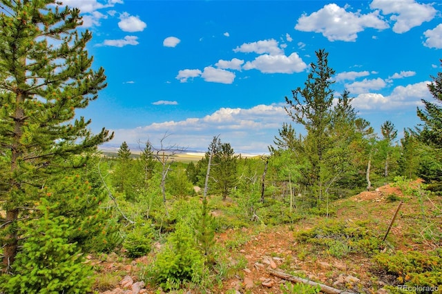 751 Lamb Mountain Rd, Fairplay, CO 80440 - photo 19
