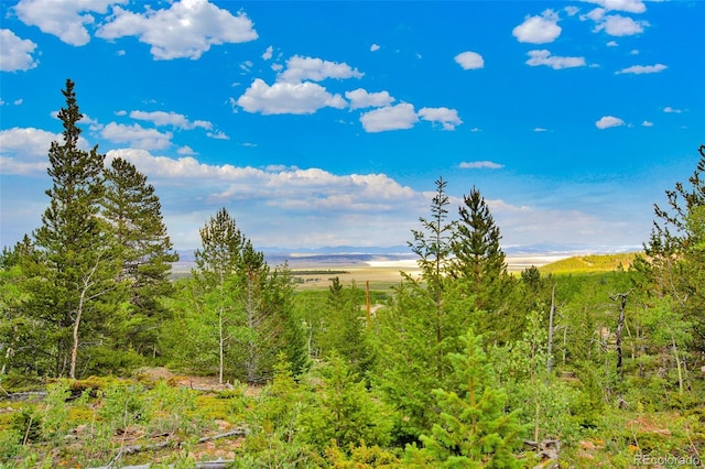 751 Lamb Mountain Rd, Fairplay, CO 80440 - photo 21