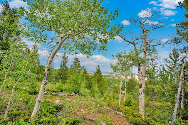 751 Lamb Mountain Rd, Fairplay, CO 80440 - photo 22