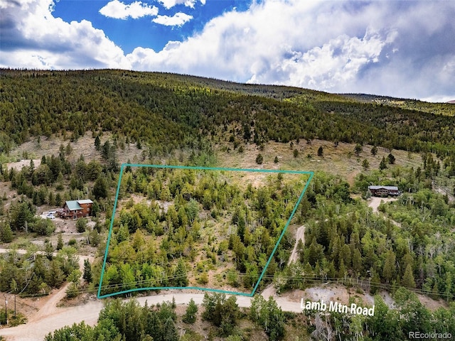 751 Lamb Mountain Rd, Fairplay, CO 80440 - photo 26