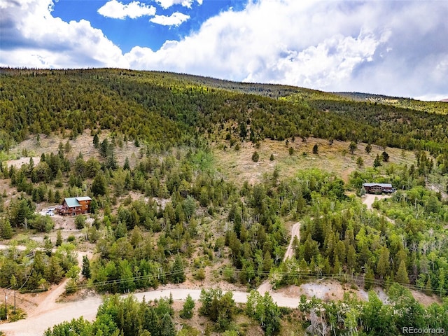 751 Lamb Mountain Rd, Fairplay, CO 80440 - photo 27