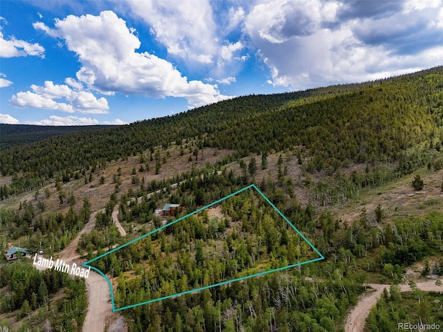 751 Lamb Mountain Rd, Fairplay, CO 80440 - photo 28