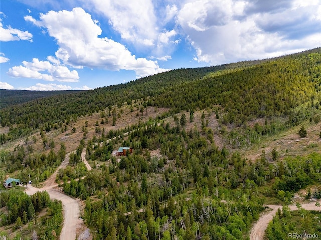 751 Lamb Mountain Rd, Fairplay, CO 80440 - photo 29