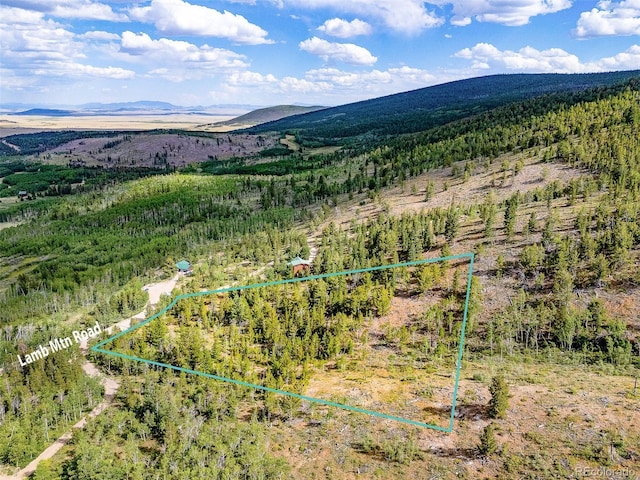 751 Lamb Mountain Rd, Fairplay, CO 80440 - photo 30