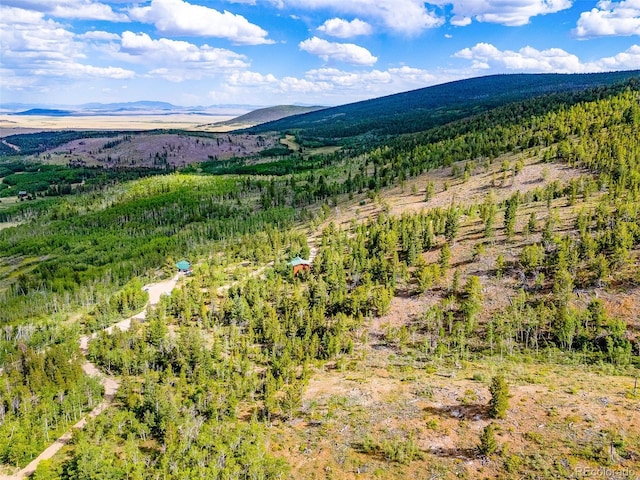 751 Lamb Mountain Rd, Fairplay, CO 80440 - photo 31