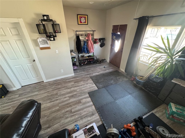 entrance foyer with baseboards and wood finished floors