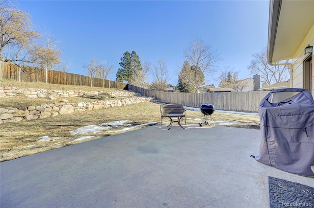 view of patio / terrace featuring area for grilling