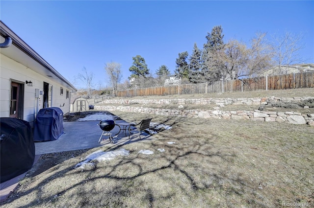 view of yard featuring a patio and a storage shed