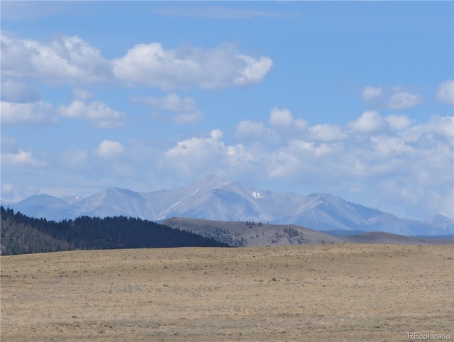 728 Routt Rd, Hartsel, CO 80449 - photo 10