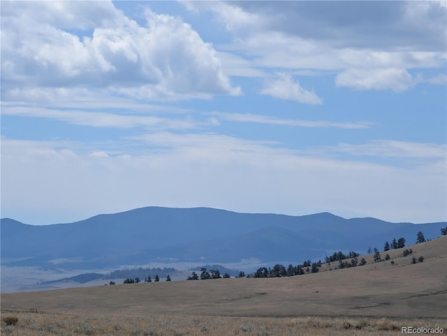 728 Routt Rd, Hartsel, CO 80449 - photo 12