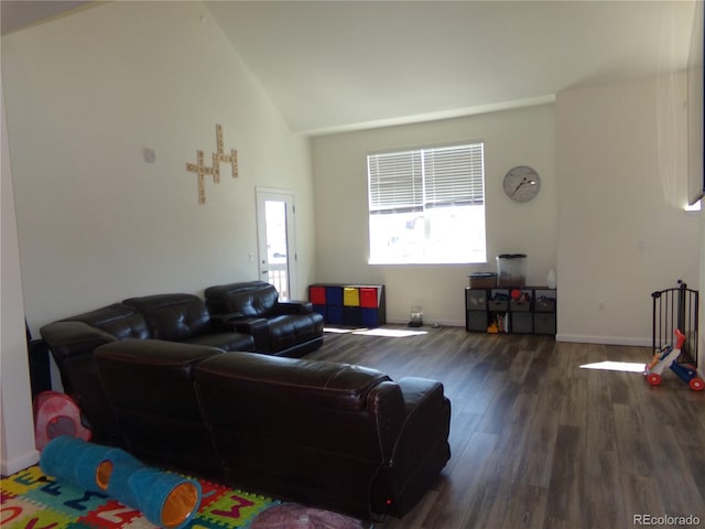 living room with dark hardwood / wood-style floors and high vaulted ceiling