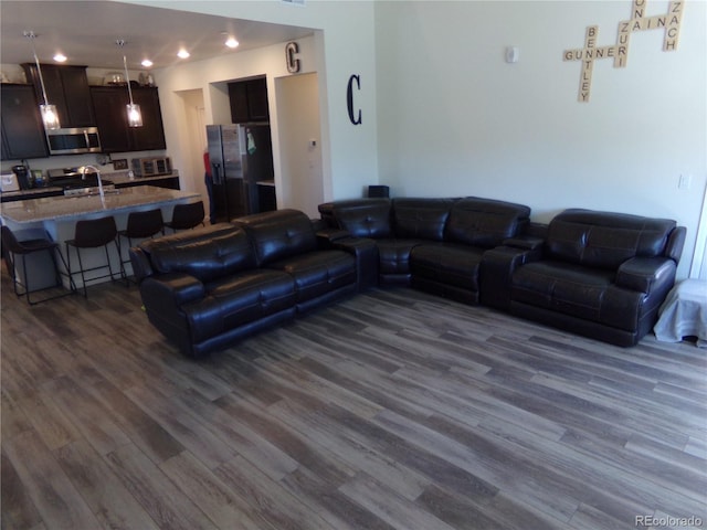 living room featuring dark hardwood / wood-style flooring