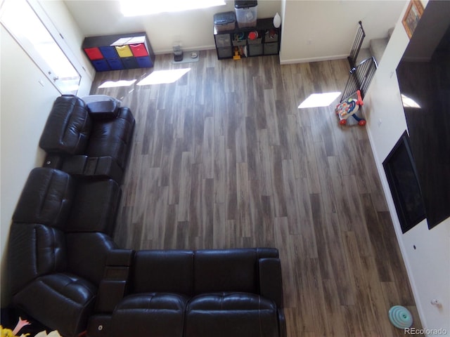 living room featuring hardwood / wood-style floors