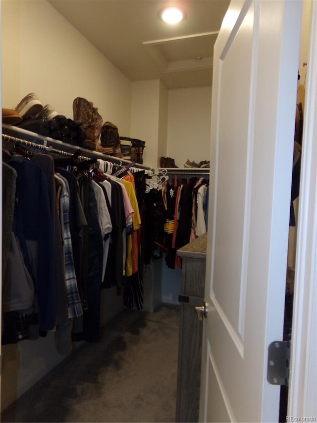 spacious closet featuring carpet flooring