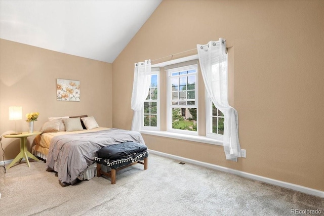 18131 E Arizona Ave Unit B, Aurora, CO 80017 - carpeted bedroom with baseboards and vaulted ceiling