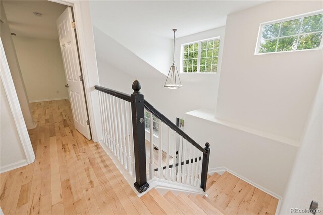 424 Arbor Dr, Lafayette, CO 80026 - photo 19