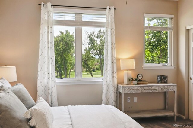 2945 W Riverwalk Cir Unit B, Littleton, CO 80123 - bedroom with multiple windows
