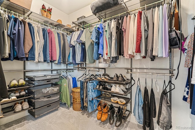 view of spacious closet