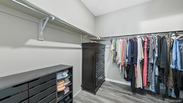 walk in closet with hardwood / wood-style flooring