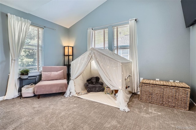 16376 Flintlock Ct, Parker, CO 80134 - photo 21