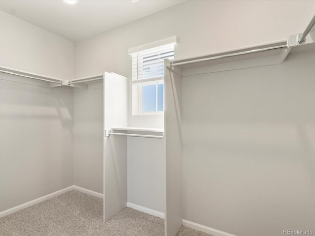 1027 Odessa Lake Rd, Severance, CO 80550 - photo 27
