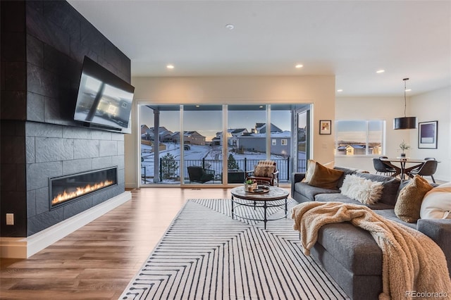 living room with wood-type flooring and a fireplace