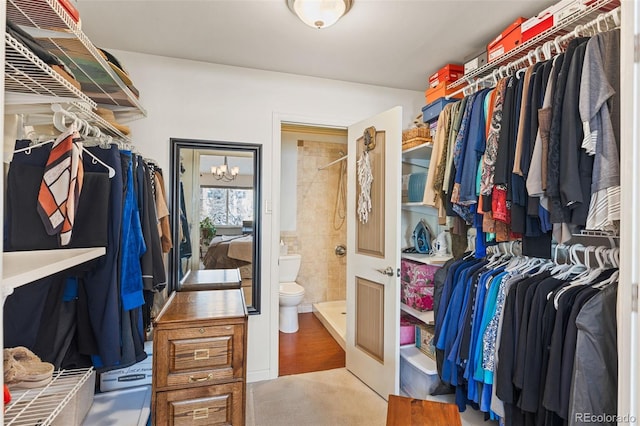 9320 E Center Ave Unit 4B, Denver, CO 80247 - walk in closet featuring carpet and a chandelier