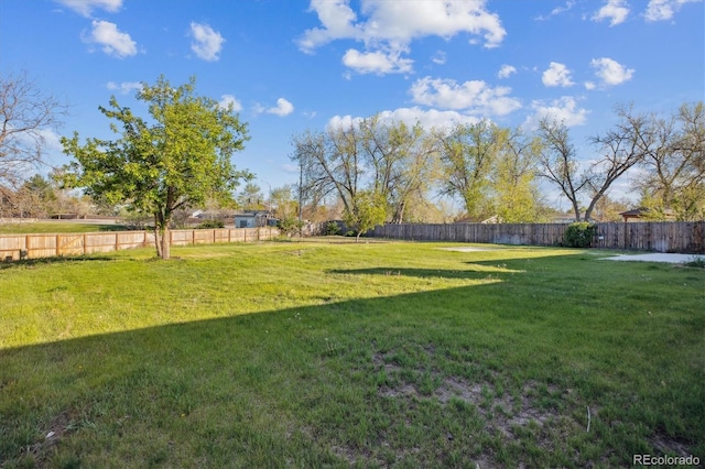 16246 E Hamilton Pl, Aurora, CO 80013 - view of yard