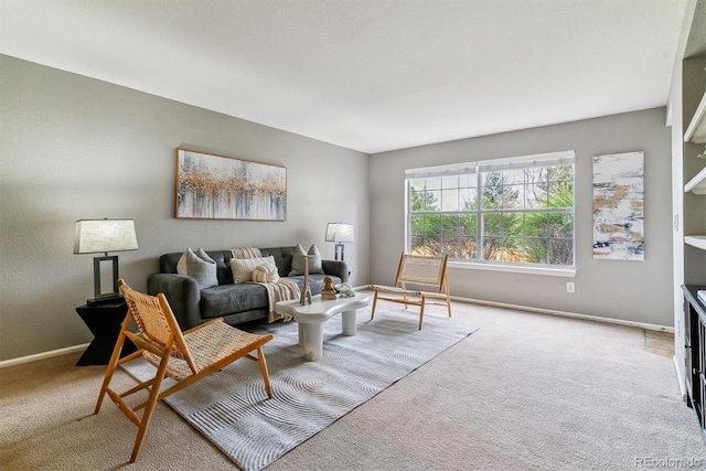 9283 E Arbor Cir Unit C, Englewood, CO 80111 - carpeted living area featuring baseboards