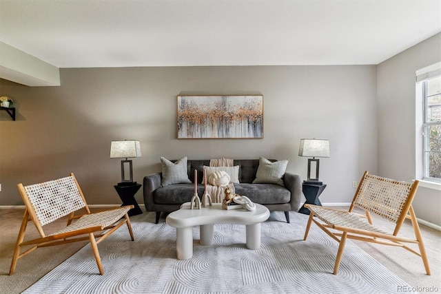 9283 E Arbor Cir Unit C, Englewood, CO 80111 - living room featuring baseboards and carpet