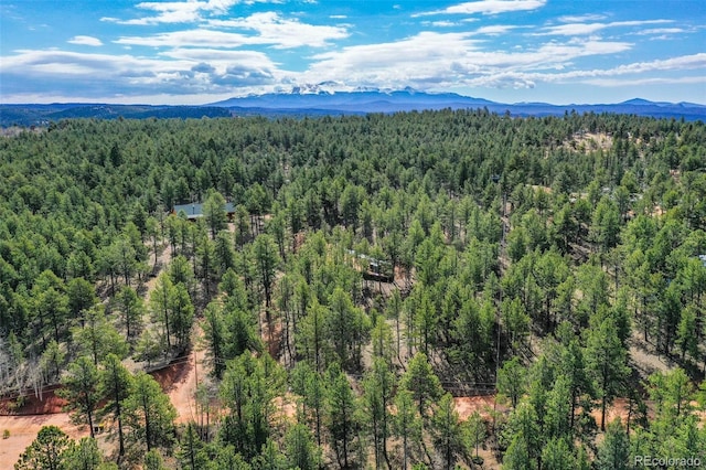 465 Peak View Cir, Florissant CO, 80816 land for sale