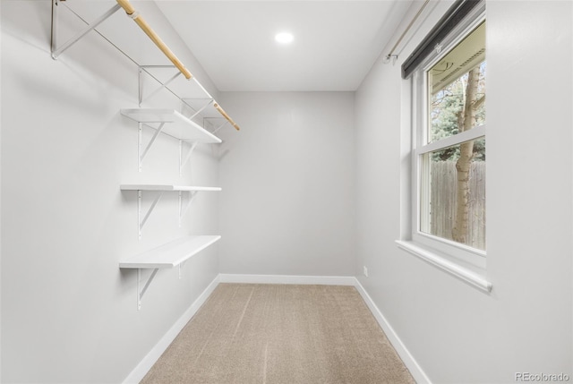 1295 Elm St, Denver, CO 80220 - walk in closet with light colored carpet