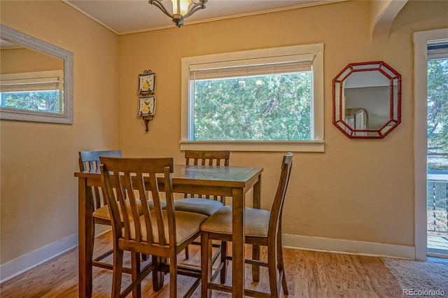 dining room featuring ornamental molding, light hardwood / wood-style floors, and a healthy amount of sunlight