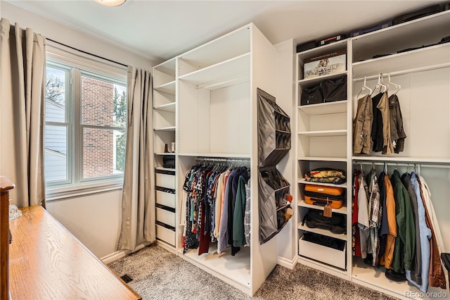 2023 S Rifle St, Aurora, CO 80013 - walk in closet with carpet flooring