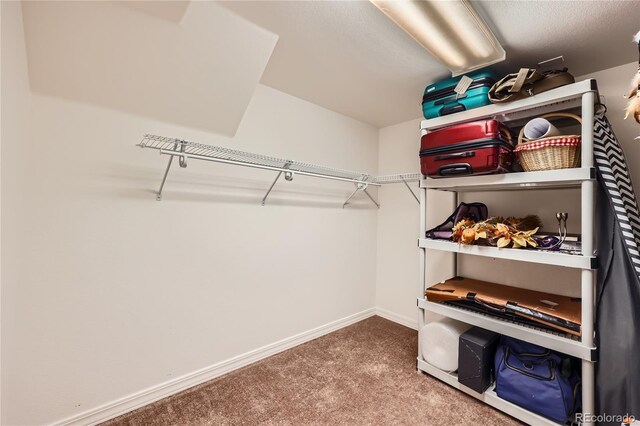 2023 S Rifle St, Aurora, CO 80013 - walk in closet with carpet floors