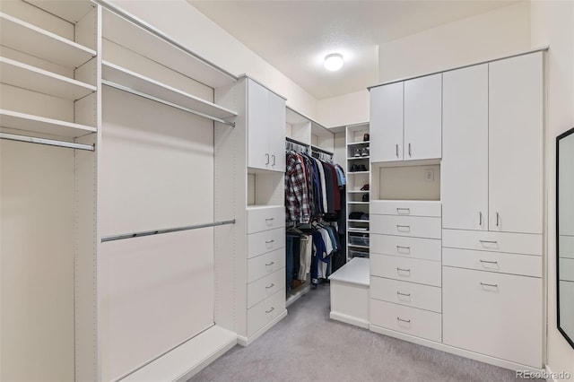 spacious closet featuring light colored carpet