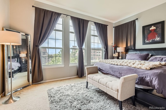 9424 Ridgeline Blvd, Highlands Ranch, CO 80129 - carpeted bedroom with baseboards
