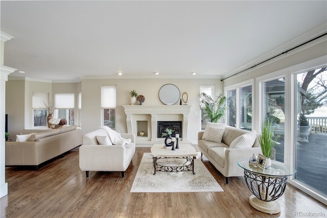 living room with hardwood / wood-style flooring and ornamental molding